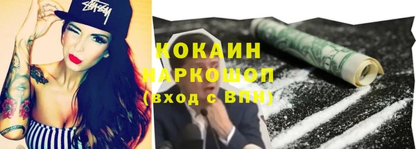 ешки Новозыбков