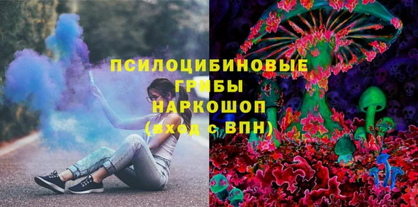 шишки Горняк