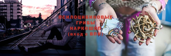 шишки Новокубанск