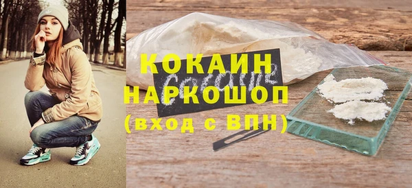 ешки Новозыбков