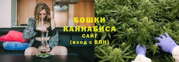 шишки Новокубанск