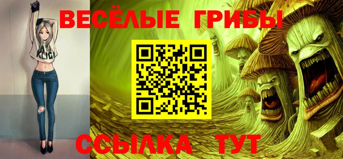 Кумертау  наркотики  Вход с VPN  Псилоцибиновые грибы MAGIC MUSHROOMS 